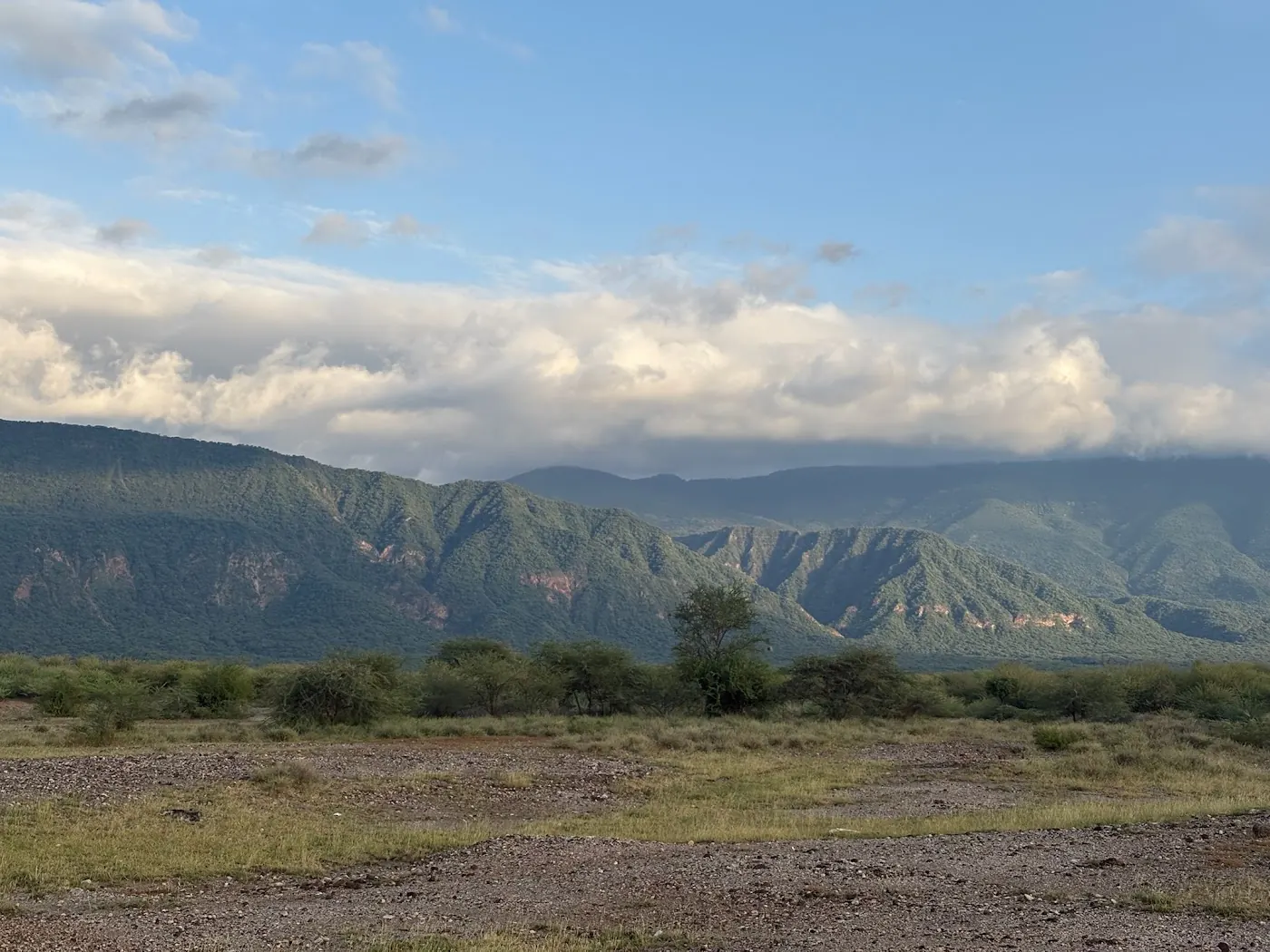 Bare gravel and dry grass in front of thorn bush, with a long green escarpment under cloud behind.
