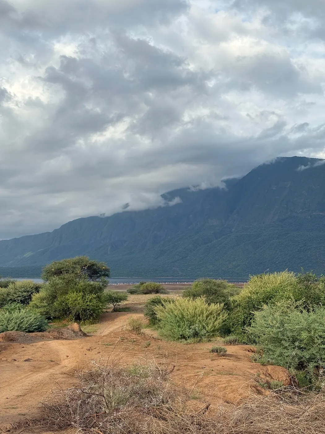 Sandy track through green thorn bush leading to a lake edge with pale birds, a cloud-topped escarpment behind