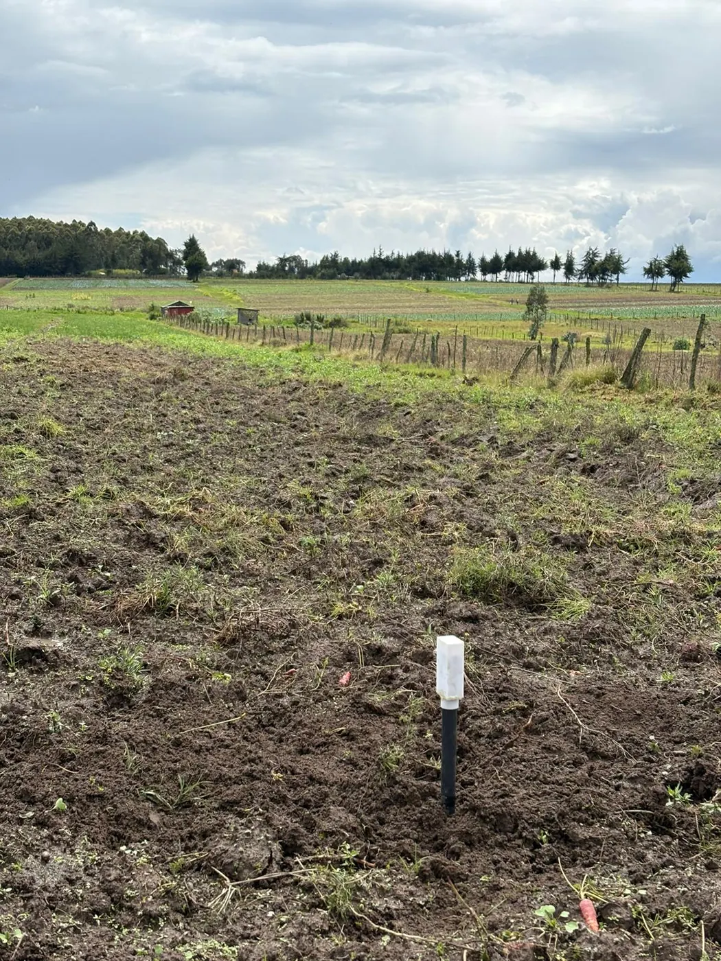 A soil probe in a harvested carrot field on a cloudy day